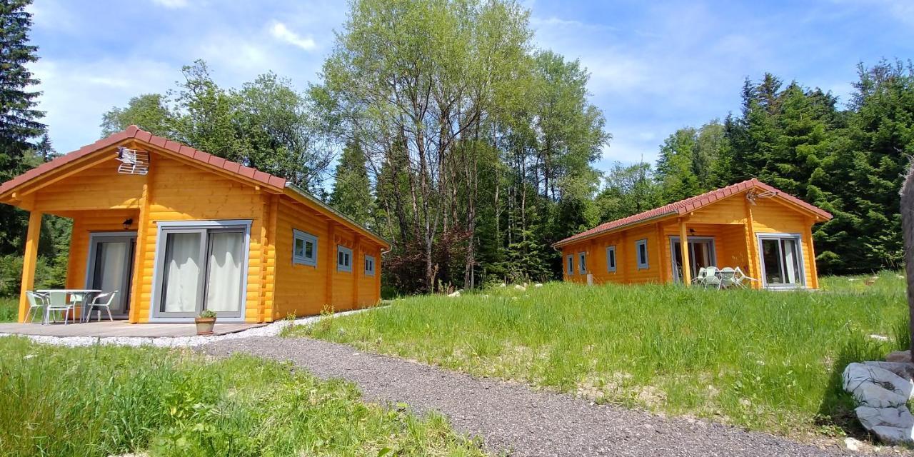 Chalet De Martimprey - Chalets - Gites - Chambres D' Hotes Et Spas Gérardmer Eksteriør bilde